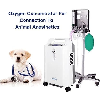 Кислородно оборудване за анестезия на Animal Clinic